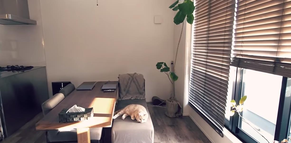 ##日本主妇的“自建房”走红ins:三层小楼,全屋整洁,生活精致