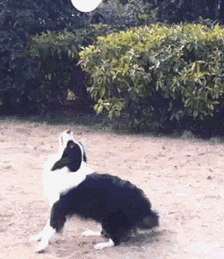 穿衣搭配|历史老师叫我去办公室帮她拿作业，对我这样做