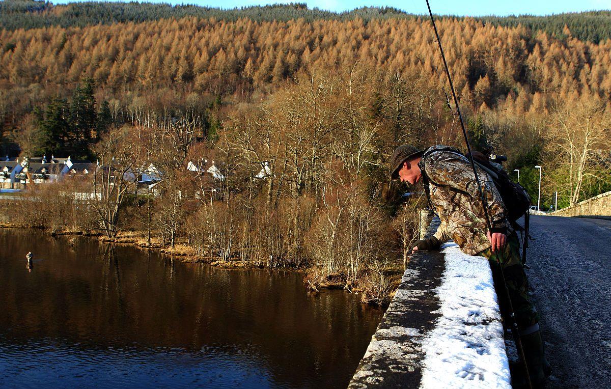 饵料|浓引淡钓、本味饵料统统都无用！解析“肥水难钓鱼”背后的秘密