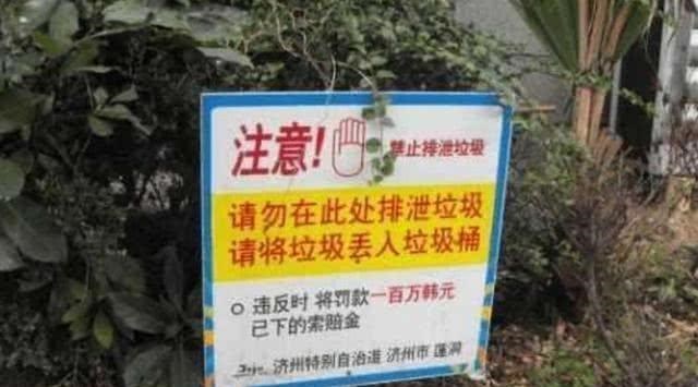 韓國街頭再現“中文標語”，惹怒我國遊客，網友：等著涼涼吧-圖5