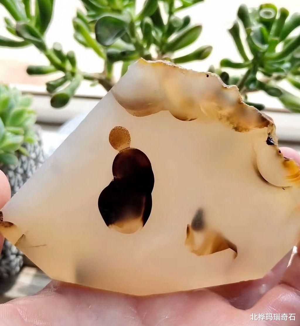 |因为喜欢捡石头，所以认识很多朋友