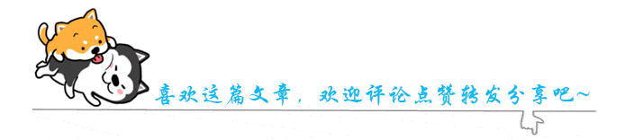 具有最“神经质”的10钟狗，没有想到的是，智商第一又上榜了
