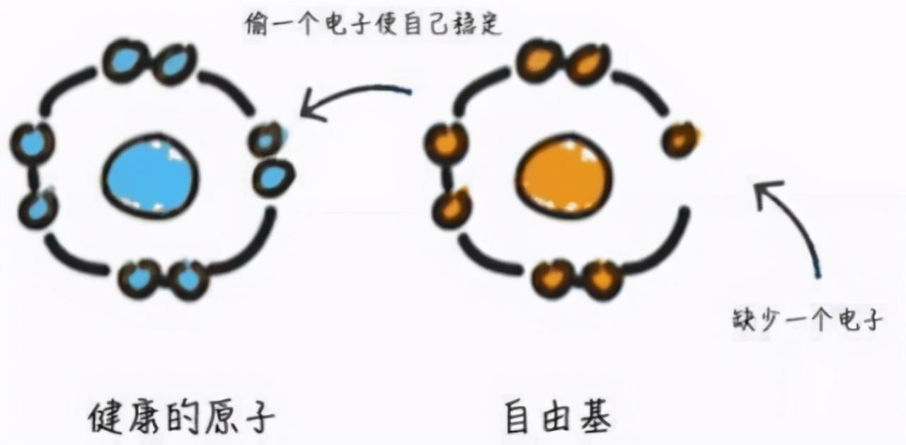 冻龄|冻龄根本不存在？宁静一语道破真相：洗了脸大家都是黄脸婆！