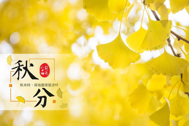 中国股市|今日秋分，猪价再迎大范围回落，中秋上涨要“梦碎”？答案来了