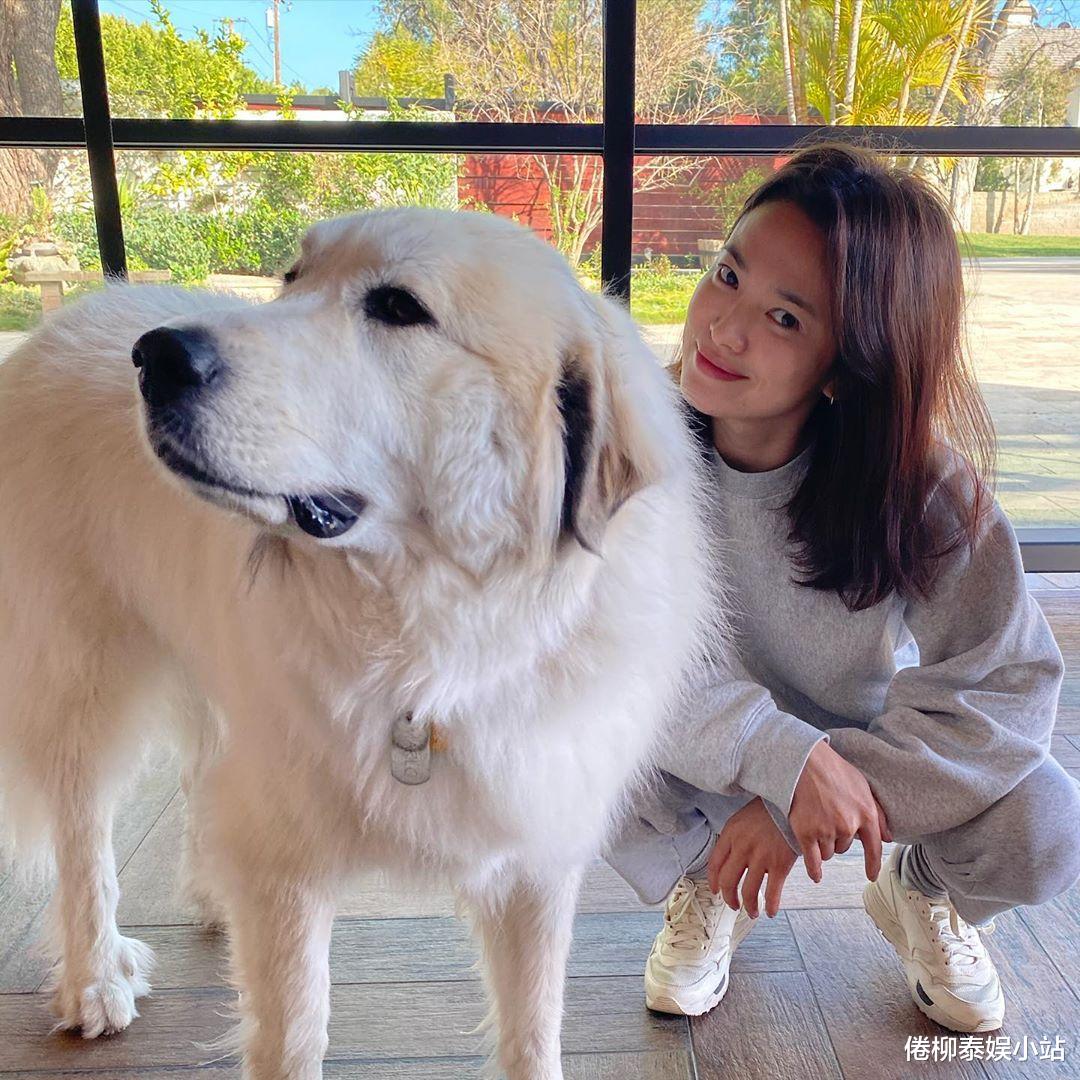 『宋慧乔』好乖巧的乔妹！宋慧乔意大利归来，最新生活照曝光