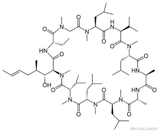 狒狒|移植动物器官：36年前女婴为活命，移植狒狒心脏，现在怎么样了？