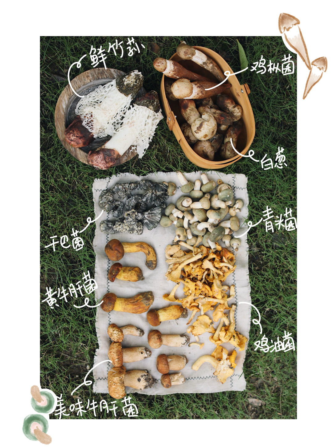 云南|我去了趟云南，当地人给我炖了一锅毒菌子