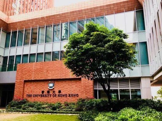 环球时报|港媒：港大一内地生涉嫌冒充公安诈骗，袭警被捕不准保释