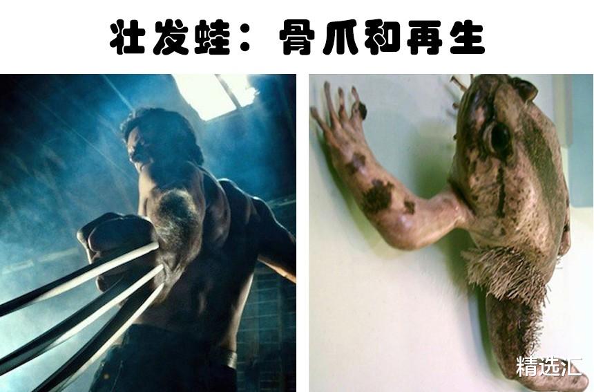 超能力|拥有“超能力”的动物：以人类角度来看，拥有超能力的10种动物