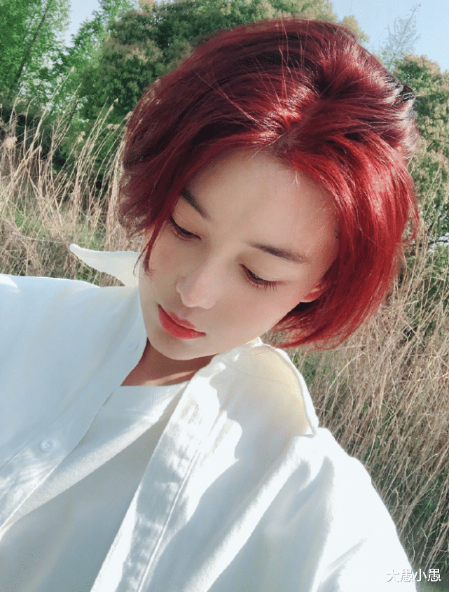 张馨予▲论“朴实”只服张馨予！自己花90元染发，红色发型又将成潮流？