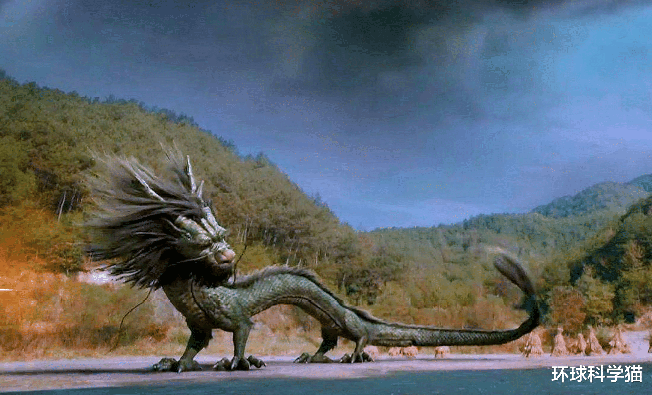 科学家|龙到底存不存在?科学家已经发现,地球上存在“与龙相似”的生物