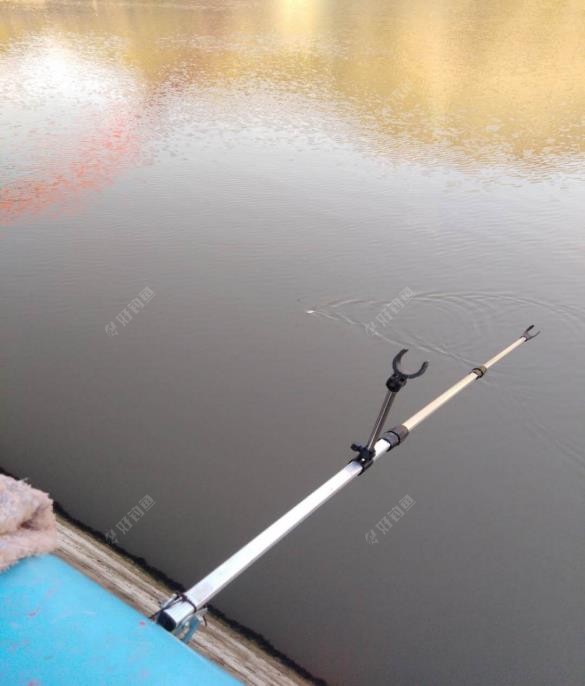 饵料|南鱼北调把鱼养，来年再战不空军