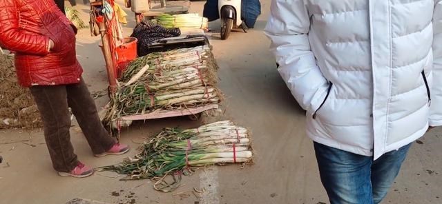 哈林酱ha 疫情下!河北石家庄大葱猛涨,一捆葱卖到160元