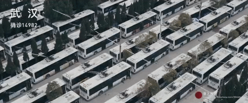 「」“出国避难的明星，打脸14亿国人”，今天，这张照片再次让我们怒不可言