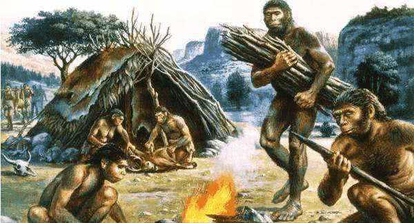 【科学家】地球将诞生第二人类文明？巴拿马猴进入石器时代，科学家表示担忧