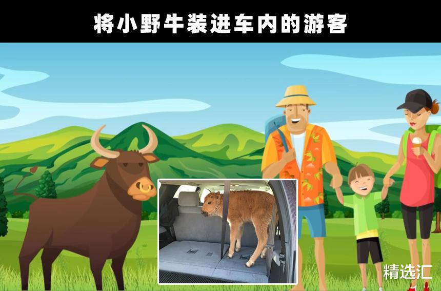 旅行|愚蠢的游客：做出一些愚蠢的行为，犯下重大错误的5名游客