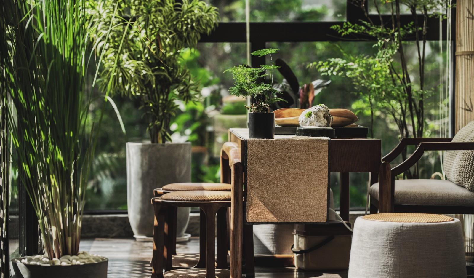 设计师|为了院子，她买下200㎡私宅，阳台改造“空中花园”，太美了