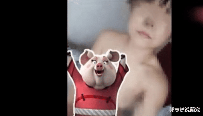 女子与5旬大叔网恋，拿私密照做担保，从5人手中借600万后玩消失