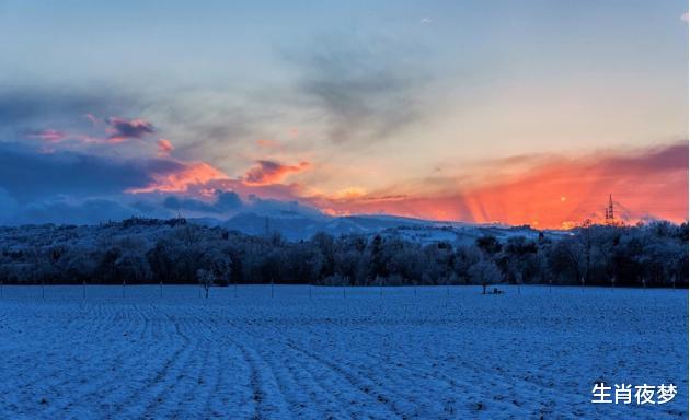 黄粱一梦|10月，爱意未减，再续姻缘，旧情人回头，3生肖相思难耐，不过黄粱一梦