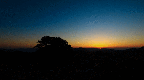 神农架▲高清大图丨高山草甸、万亩杜鹃……探绝美秘境小神农架