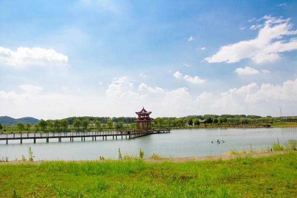 『柏林』武汉被“遗忘”的一座湖，曾因商业开发被污染，现成钓鱼人好去处