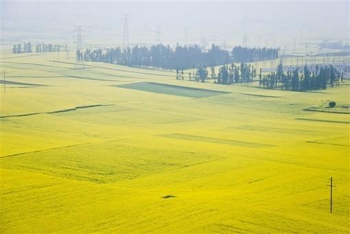 天蝎座|最有威慑力,能给人压力的星座