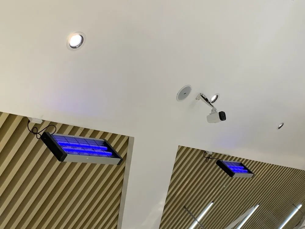 南阳|别人家孩子的学校：南阳五中八全校区餐厅曝光！