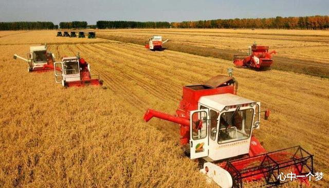 [养老金]四大粮商控制全球80%的粮食交易，有3家是美国公司，布局中国多年