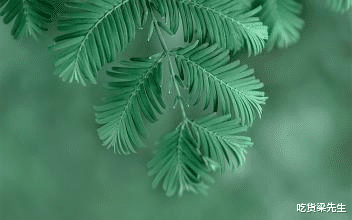 「射手座」占有欲强，越是爱你，越是管着你，最喜欢管着爱人的四大生肖女