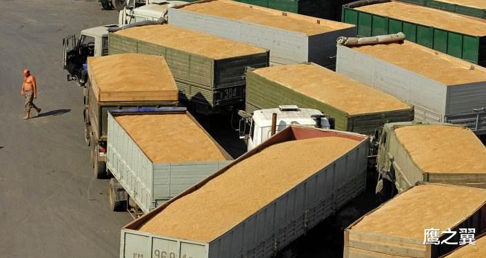 #哈萨克斯坦#发现中国粮食储备充足,邻国态度大变,立即恢复对华粮食出口