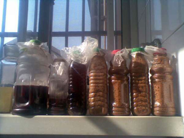 饵料|关于饵料，现在的钓鱼人把鱼看得比皇上还难伺候，事实真是这样吗