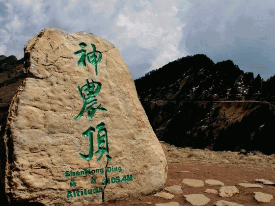 #神农架#触碰最原始的森林——神农架