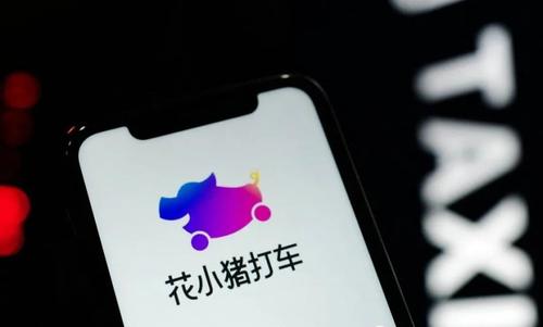 花小猪|如何看待滴滴推出“花小猪打车”?