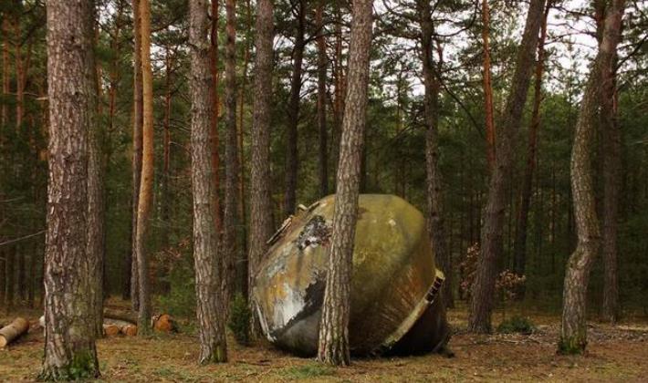 恐龙|外星人喜欢喝酒还乱扔垃圾？波兰森林里出现可疑事物，引发猜测