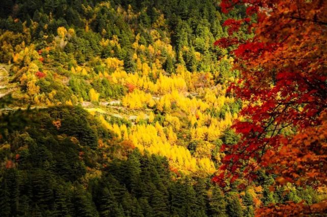 稻城亚丁|10个秋季最美旅行地，稻城亚丁上榜，最后一个少有人知