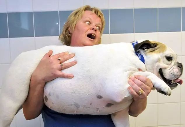 营养膳食:堪称“刮油王”的6种食物,每天吃点,排出脂肪,腰上没赘肉