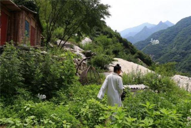 臆说古史|是师徒亦是夫妻!男子隐居深山8年,与女弟子结婚生娃,如今怎样