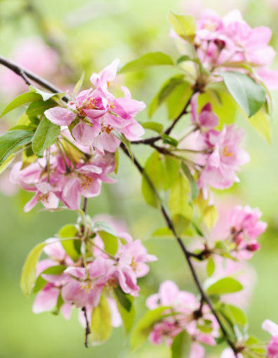 |进入8月份,4属相抓牢机遇,生活迈向新台阶,喜事接二连三