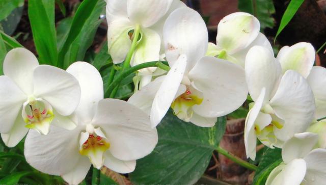 『爱在一起』5月初，万里柔情，旧情人回头笑，3生肖破镜重圆，重新爱在一起