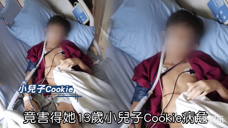「医生」知名女星13岁儿子被蚊虫叮咬引发败血症，今日搭专机送往国外续命