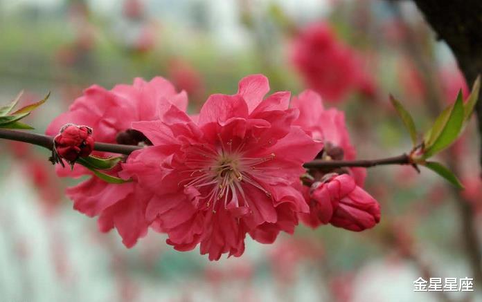 「生肖」6月19号，偏财比正财旺，锦鲤附体，有贵人缘的3大生肖
