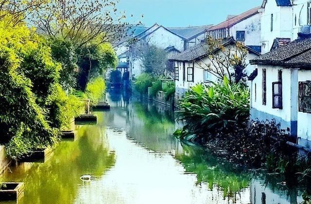 上海市|一座被列入永久保留的古村落，就深藏在苏沪边界，知道的人却不多