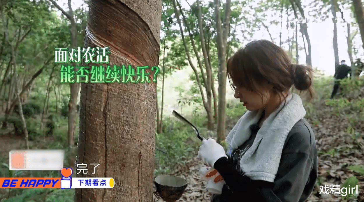 吴昕|谢娜没来，吴昕吵翻蘑菇屋：说何炅植过发，割破手碎碎念自己太笨