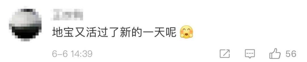 『科学家』一颗足球场大小的行星飞掠地球！网友反应亮了