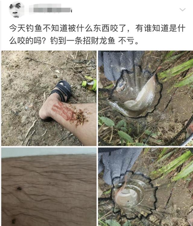 ##“为什么孩子出生后，要跟男方姓？”哈哈哈，网友的评论亮了！