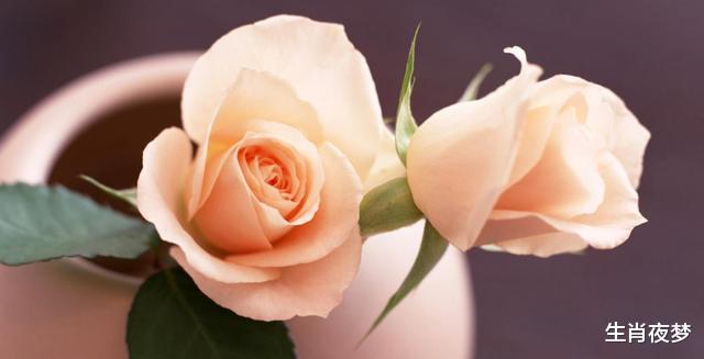 生肖|9月，与旧爱相遇，旧情人回头，3生肖迎来甜蜜恋爱，不再分开