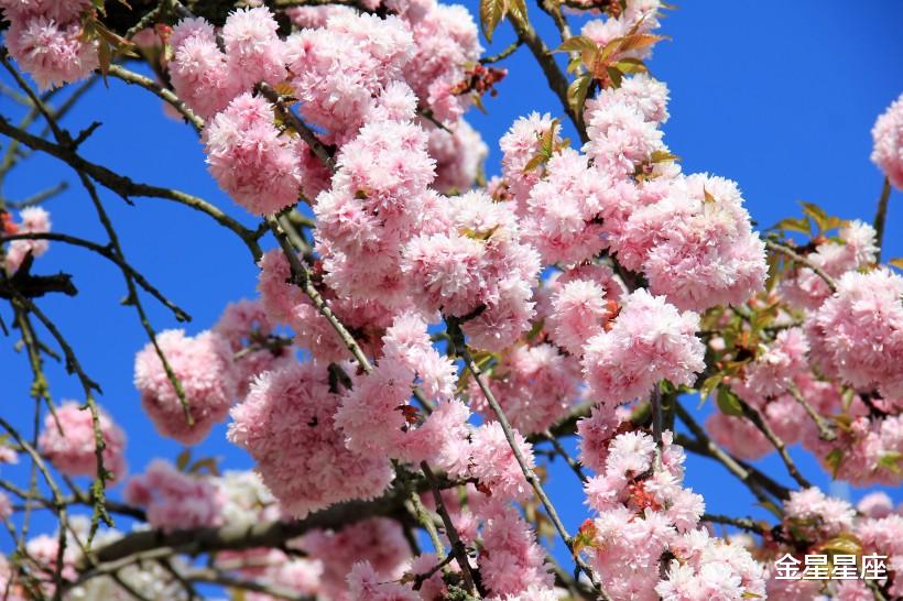 【生肖】机缘来，6月14号，3生肖迎来巅峰，不缺贵人，不缺钱