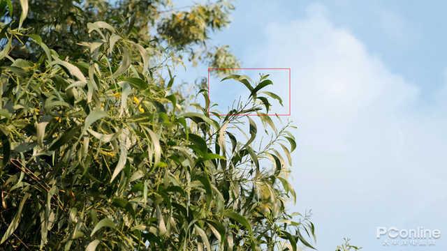 富士x|APS-C中的视频佼佼者,富士X-T3热度回升