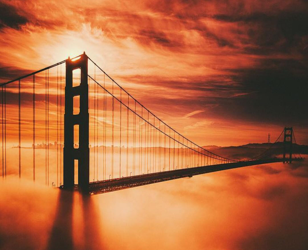 #射手座#六月上旬，鱼与熊掌，不可兼得，三星座决然离去，此生与爱无缘