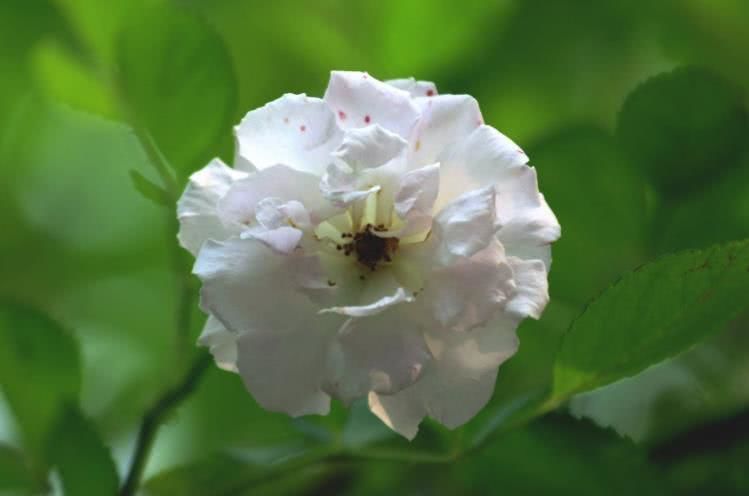 生肖|10月开始，有贵人助力，喜事一桩又一桩，财神眷顾的四大生肖